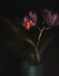 Orchids in Darkness
11" x 14"   $1,400