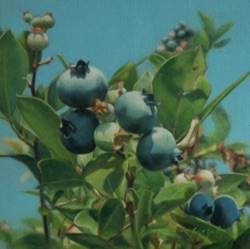 Blueberries
12" x 12"  SOLD