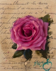 Magenta Rose
8" x 10" $500 Magenta Rose
8" x 10" $500