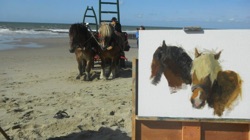 Sultan & Lady
On the North Sea; June ’11 Sultan & Lady
On the North Sea; June ’11