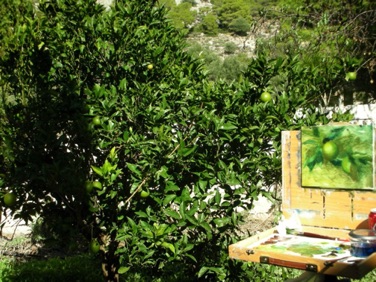 Painting Citrus<br>
Greece, 2006 Painting Citrus<br>
Greece, 2006