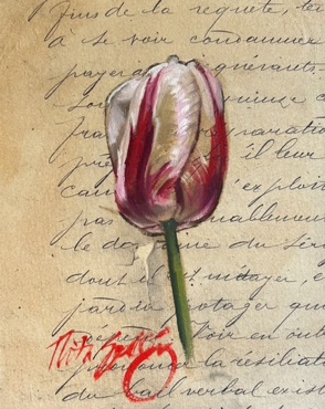 Rembrandt Tulip
8" x 10"  $500