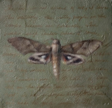 Little Moth on Olive
6" x 6"     SOLD
