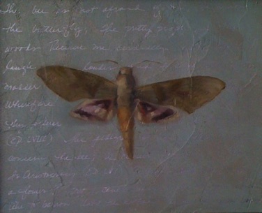 Moth
8" x 10"   SOLD