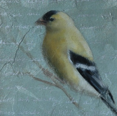 Goldfinch
5” x 5”   SOLD