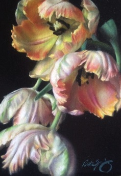 Rembrandt’s Tulips
SOLD