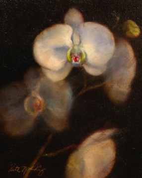 White Phaleanopsis
8" x 10"   SOLD