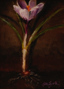 Purple Crocus, Exposed<br>

6x8   $500