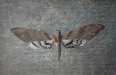 Moth- Poetry Series
36” x 48”  SOLD